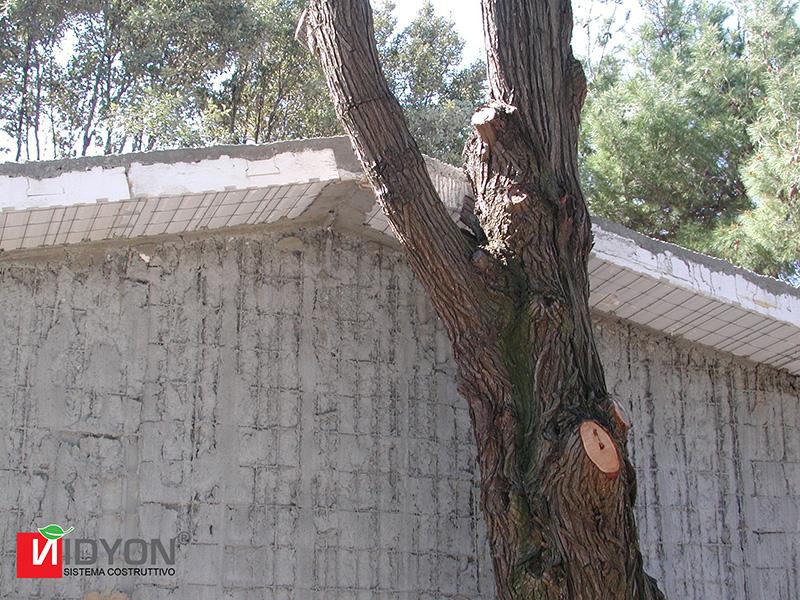 Ricezione turistica Livorno (LI)